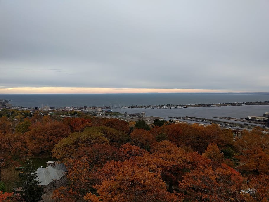 duluth, minnesota, fall, autumn, trees, nature, leaves, lake HD wallpaper