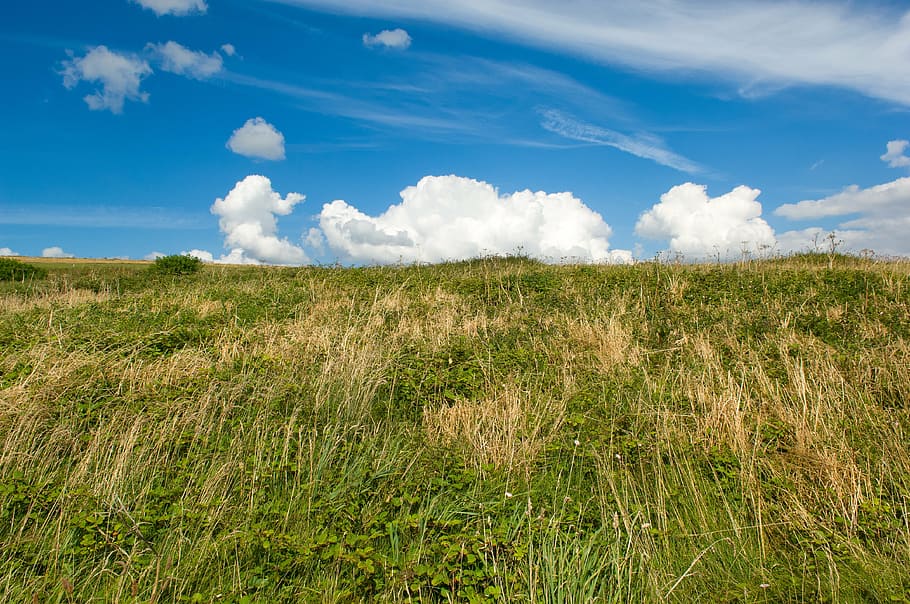 sky, clouds, dramatic, landscape, grass, hill, green foreground HD wallpaper