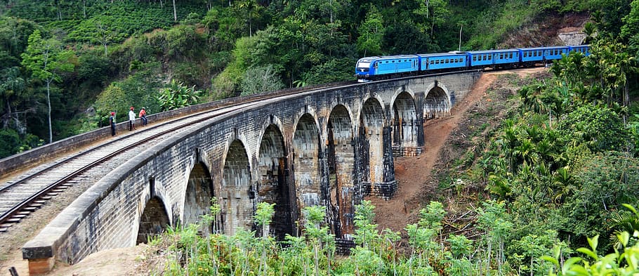 blue train on track at concrete bridge surrounded by green leafed trees