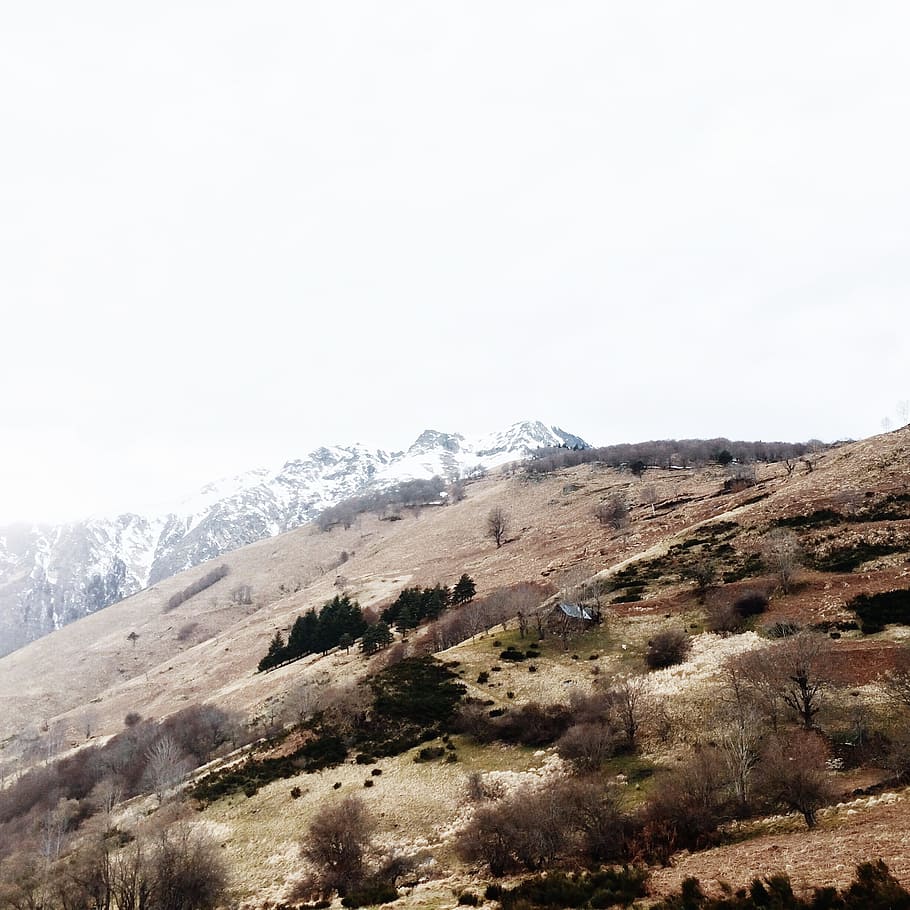 brown mountain with trees during day time, aerial photography of brown house on hill during daytime HD wallpaper