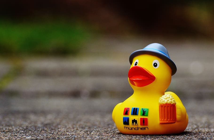 shallow focus photography of yellow bird toy, munich, duck HD wallpaper