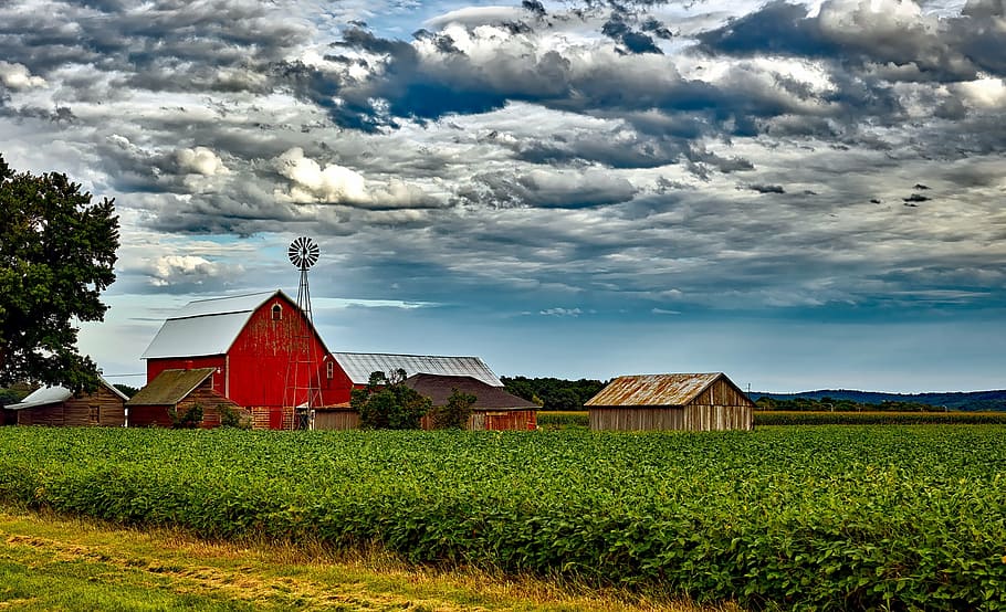 red barn surrounded by green plants, wisconsin, landscape, scenic