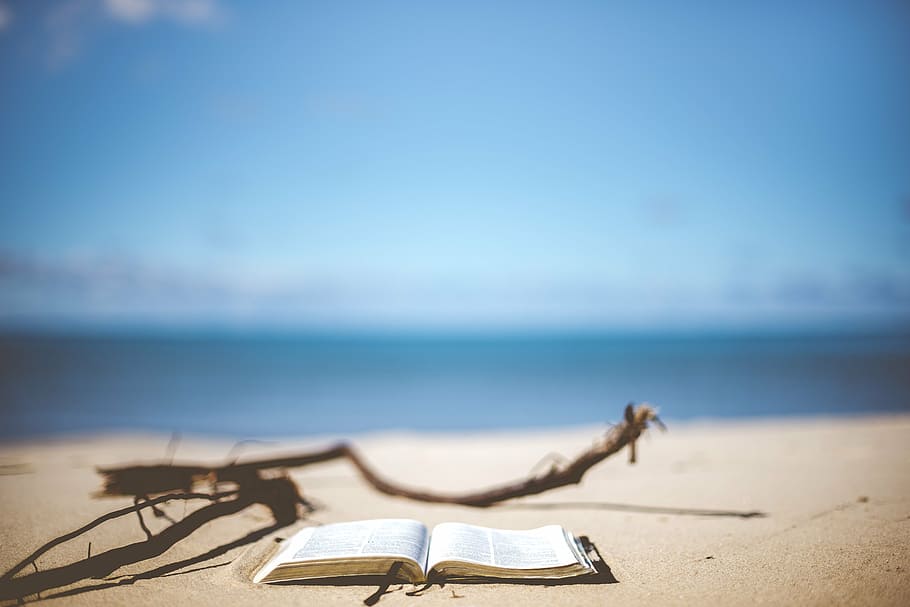 selective focus photo of an opened book near shoreline, beach HD wallpaper