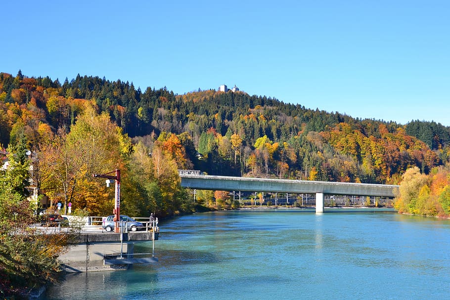 inn, tyrol, river, tree, autumn, water, plant, nature, scenics - nature HD wallpaper