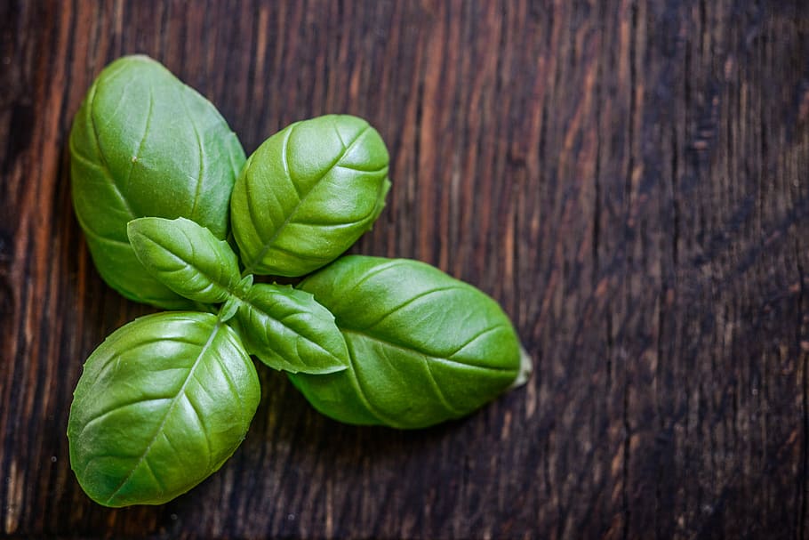green leaf plant on wood, basil, herb, food, fresh, ingredient HD wallpaper