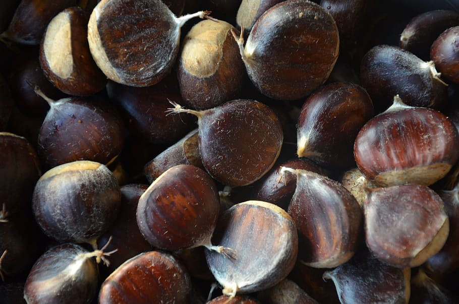 chestnuts, forest, autumn, food and drink, healthy eating, large group of objects HD wallpaper