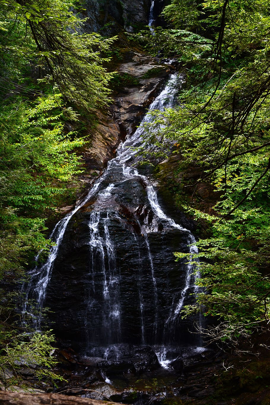 vermont, waterfall, stowe, tree, forest, plant, motion, beauty in nature HD wallpaper
