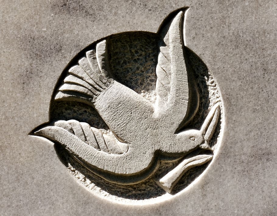 gray bird emboss logo, dove, stone, abstract, art, close-up HD wallpaper