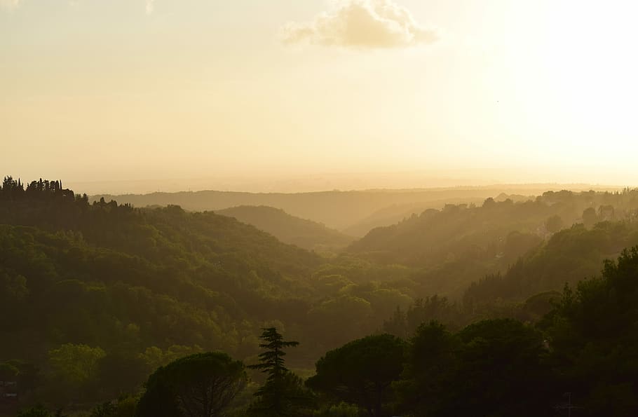 forest mountain during sunset, landscape photography of mountain HD wallpaper