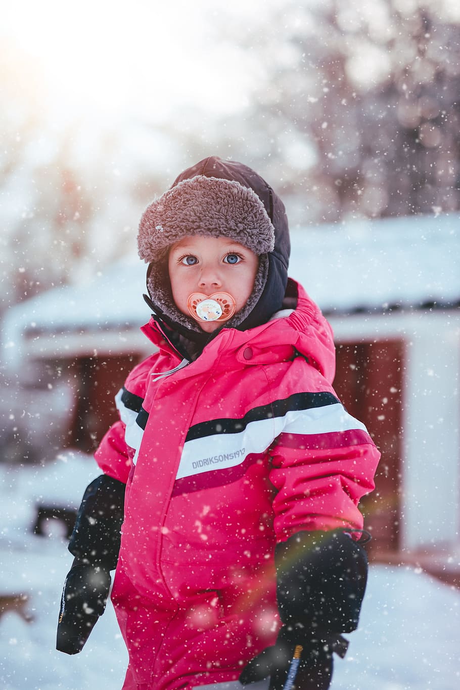 Toddler Boy Wearing Red and Black Winter Jacket and Gray Ushanka Hat Standing on Snow Covered Field HD wallpaper