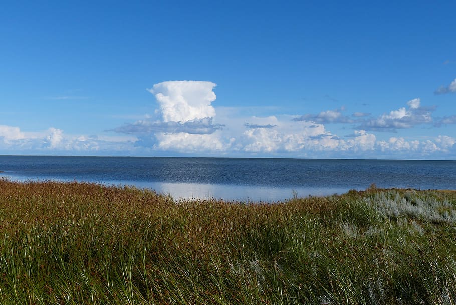 cumulus nimbus, clouds, sky, clouds form, water, sea, baltic sea HD wallpaper