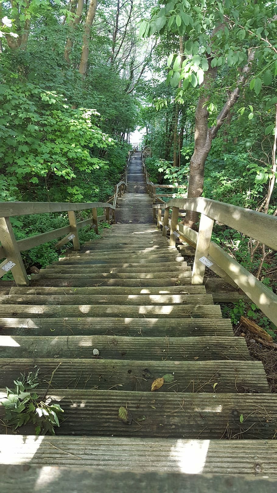 stairs, steep, down, trees, nature, footpath, outdoors, forest HD wallpaper