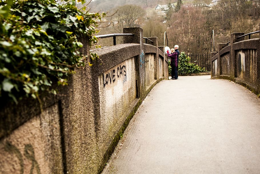trees, plant, bridge, wall, path, people, woman, couple, architecture HD wallpaper