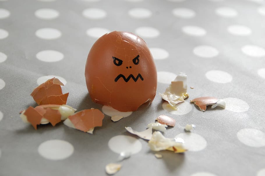photo of egg shell, mood, humor, angry, studio shot, indoors HD wallpaper