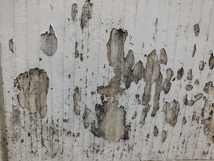 Wall, Texture, Background, Grunge, Old, stained wall, concrete HD wallpaper