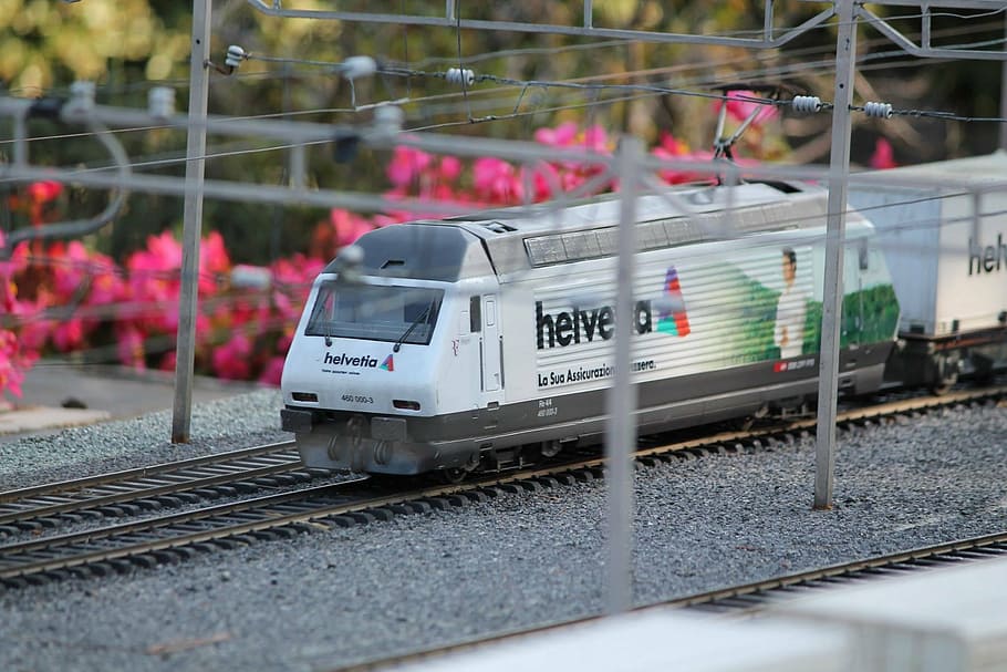 model, train, swissminiatur, melide, switzerland, railroad Track HD wallpaper
