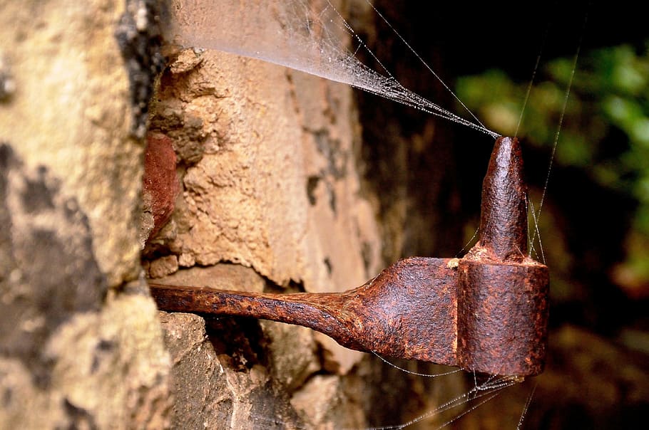 web, spider, cardine, ancient, metal, close-up, rusty, day HD wallpaper