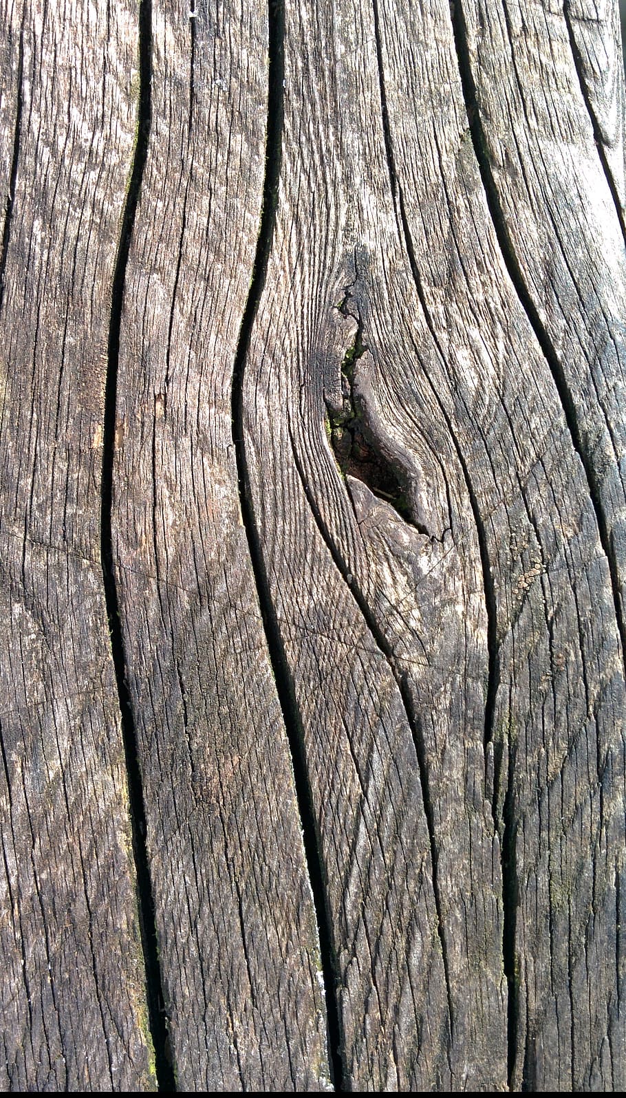 wood, grain, texture, wooden, pattern, natural, brown, old