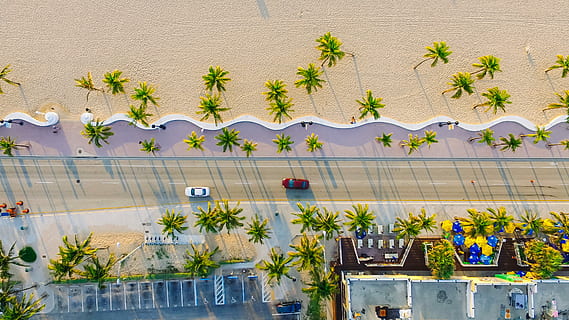high-angle photography of two red and white vehicles on concrete road between trees and buildings at daytime, aerial photography of vehicles on road near beach during daytime HD wallpaper