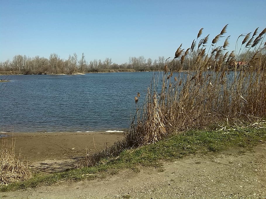 landscape, lake, spring, nature, water, blue, waterfront, plant HD wallpaper