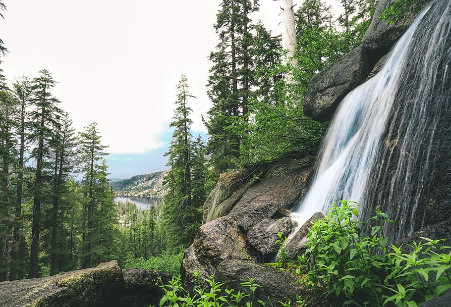 waterfalls near trees, waterfall surrounded by trees, cascade HD wallpaper