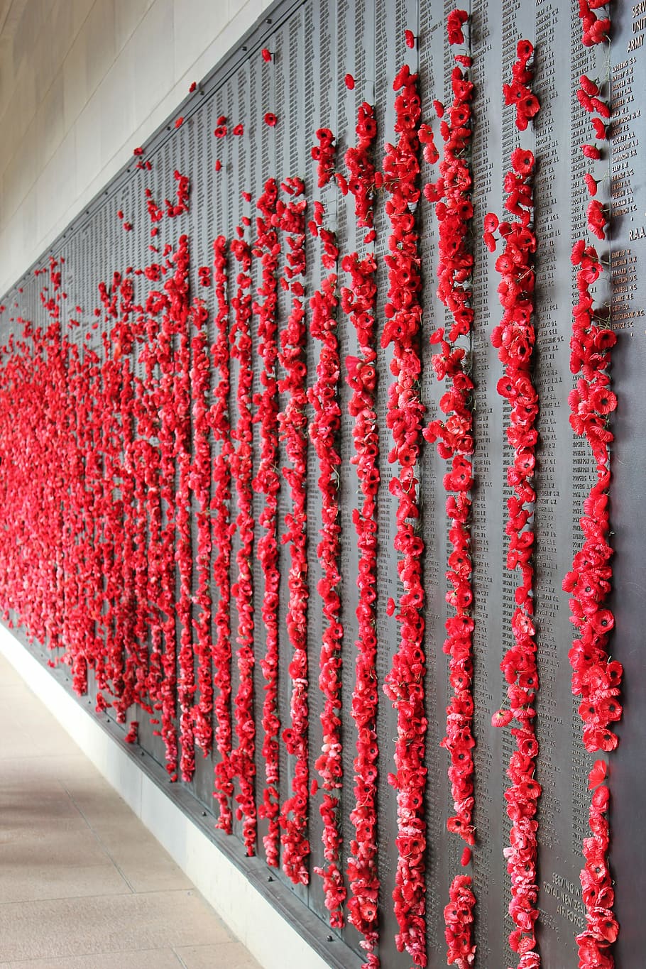 Poppies, Memorial, War, Remembrance, anzac, military, red, food and drink, HD wallpaper