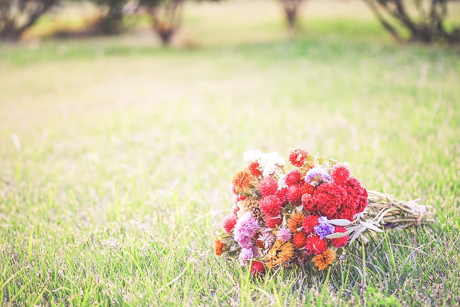 bouquet of flowers on green grass field during daytme, nature HD wallpaper