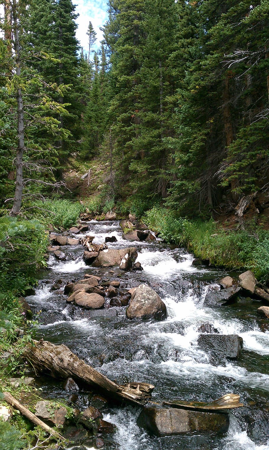 waterfall, forest, streams, landscape, river, green, rock, forest landscape HD wallpaper
