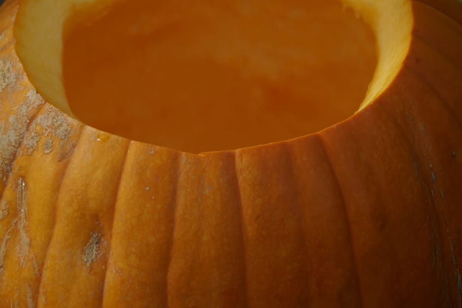 Pumpkin, Orange, pumpkins, bright, autumn, autumn decoration HD wallpaper
