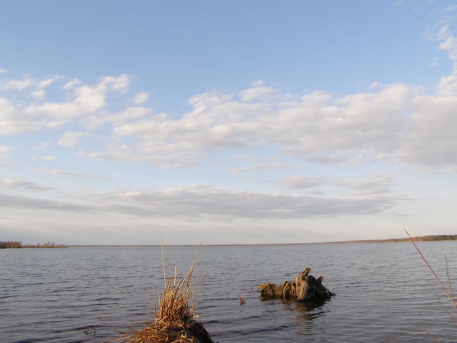 Lake, Clouds, Water, Spring, sky, outdoor, scene, view, wood HD wallpaper