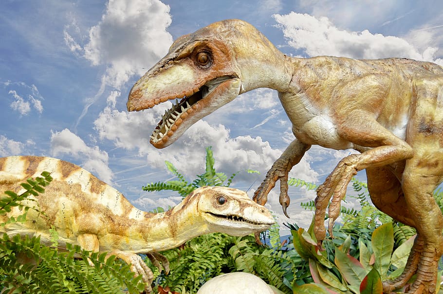 Teeth of the dinosaur 1080P, 2K, 4K, 5K HD wallpapers free download.