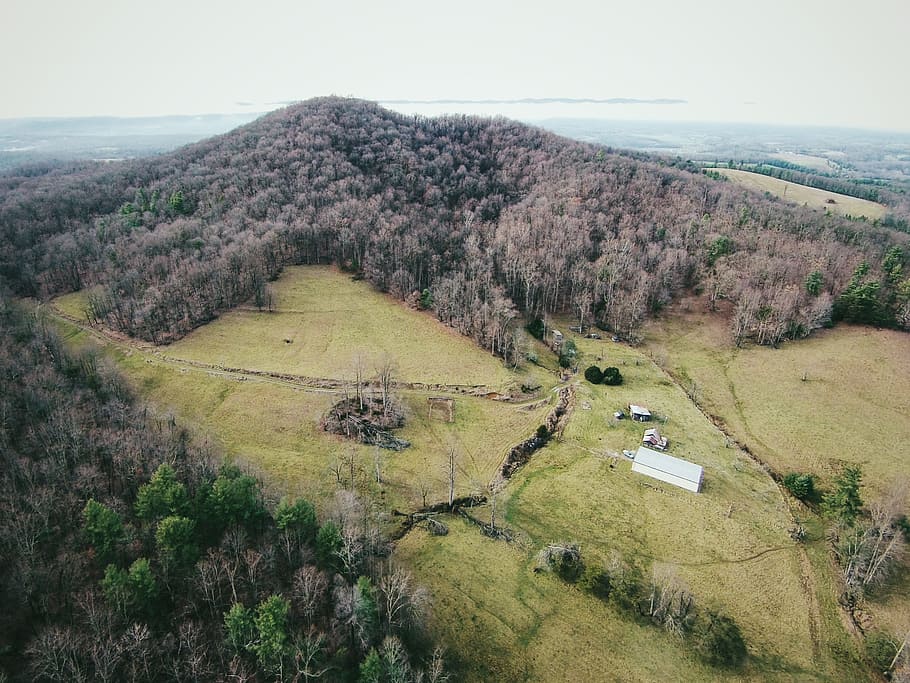 aerial photograph of a forest, bird's eye view photo of mountain peak HD wallpaper