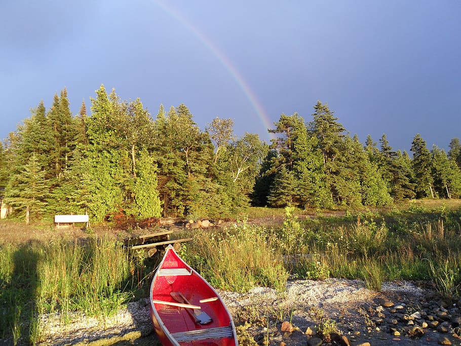 canoe, canada, rainbow, landscape, plant, tree, scenics - nature HD wallpaper