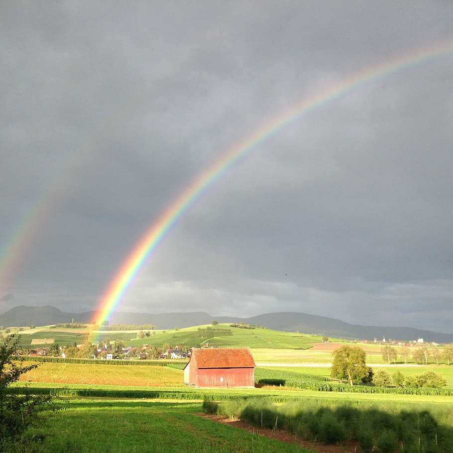 hallau, oberhallau, rainbow, sun, refraction, spectrum, weather phenomenon, HD wallpaper