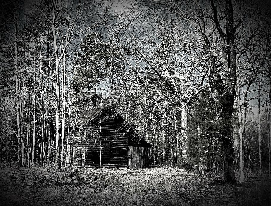 Hd Wallpaper Old Barn Rustic Black And White Aged Woods