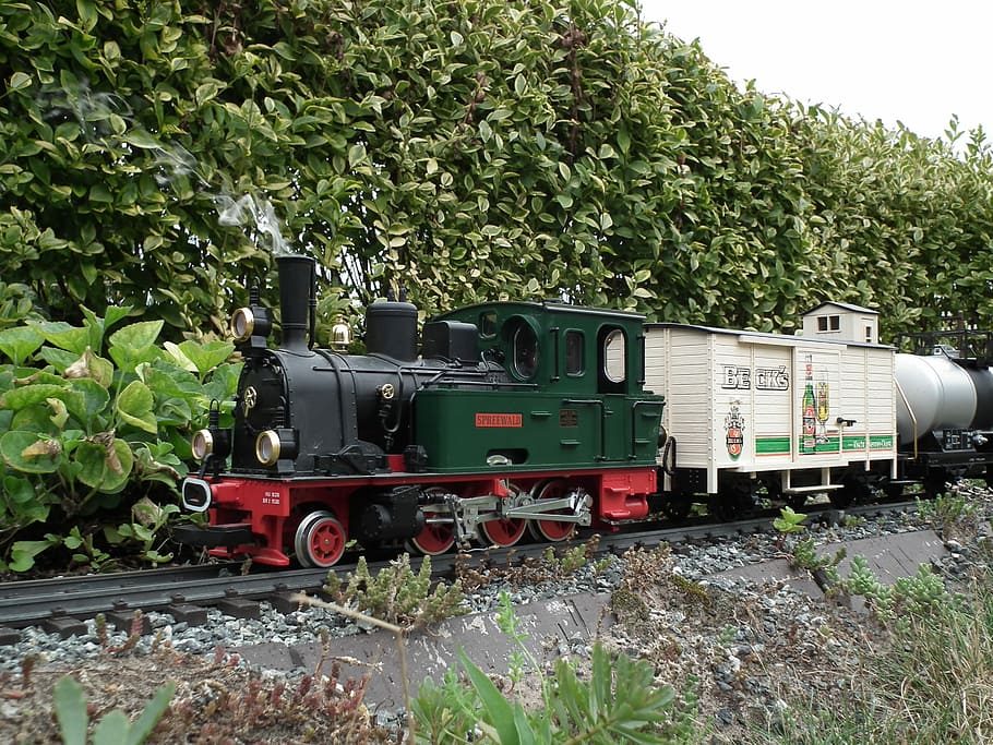 Garden Railway, Steam Locomotive, spreewald, freight train, lgb