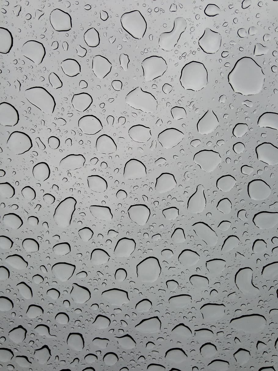 rain, raindrops, water, liquid, glass, window, rainfall, raining HD wallpaper