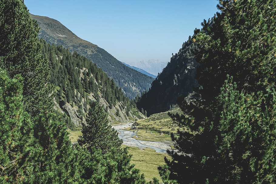 green leafed trees near mountain, river between tree green mountains HD wallpaper