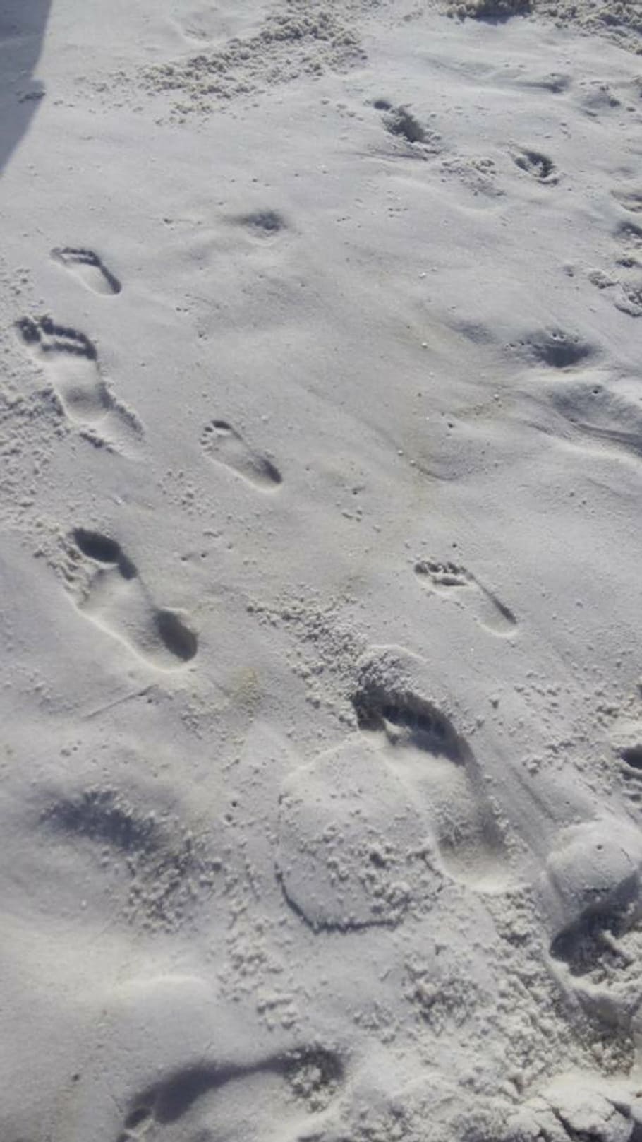 footprints, sand, beach, ocean, footstep, barefoot, sunny, land HD wallpaper