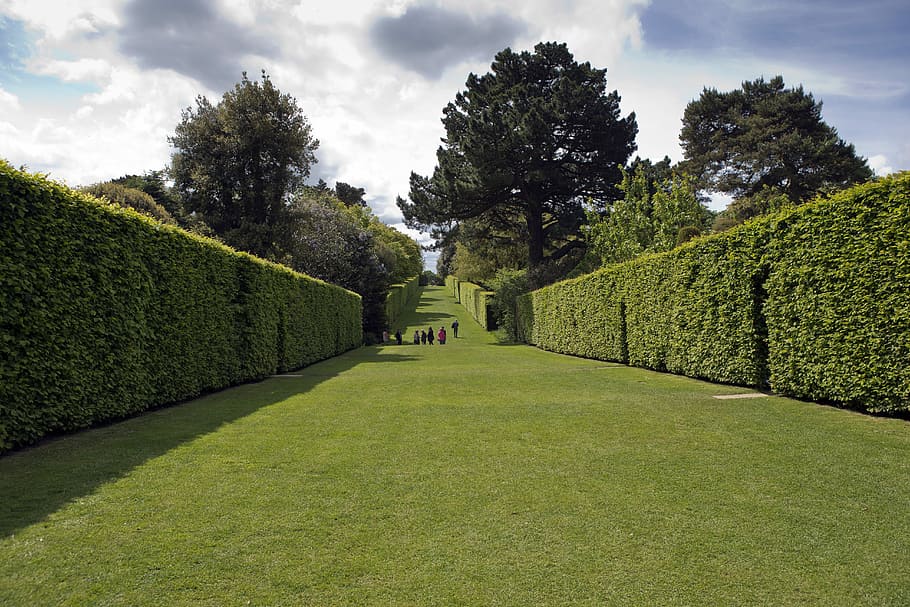 HD wallpaper: Hidcote Manor Garden, Long Avenue, high enclosing hedges ...