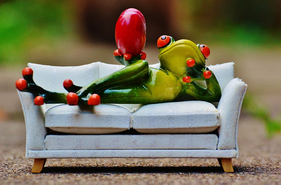 frog, love, sofa, heart, figure, funny, cute, concerns, couch HD wallpaper