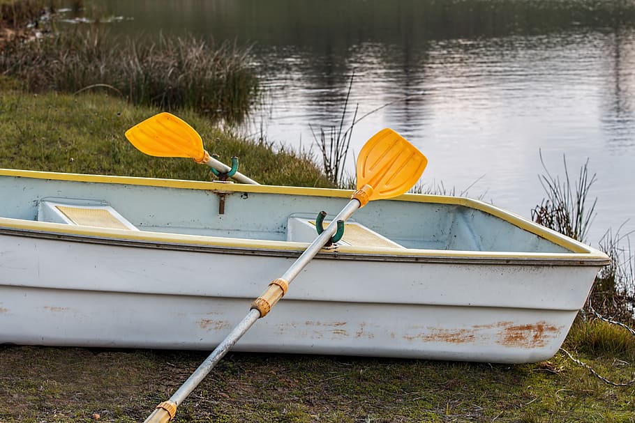 Rowing Boat, Rowboat, Oar, Boat, Rowing, fishing, angling, lake, HD wallpaper