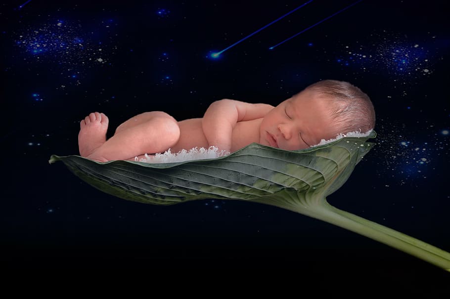 baby sleeping on green leaf illustration, newborn baby, space