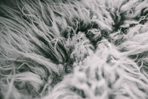 Scandinavian pillows, closeup, decor, decorations, nordic, home decor HD wallpaper