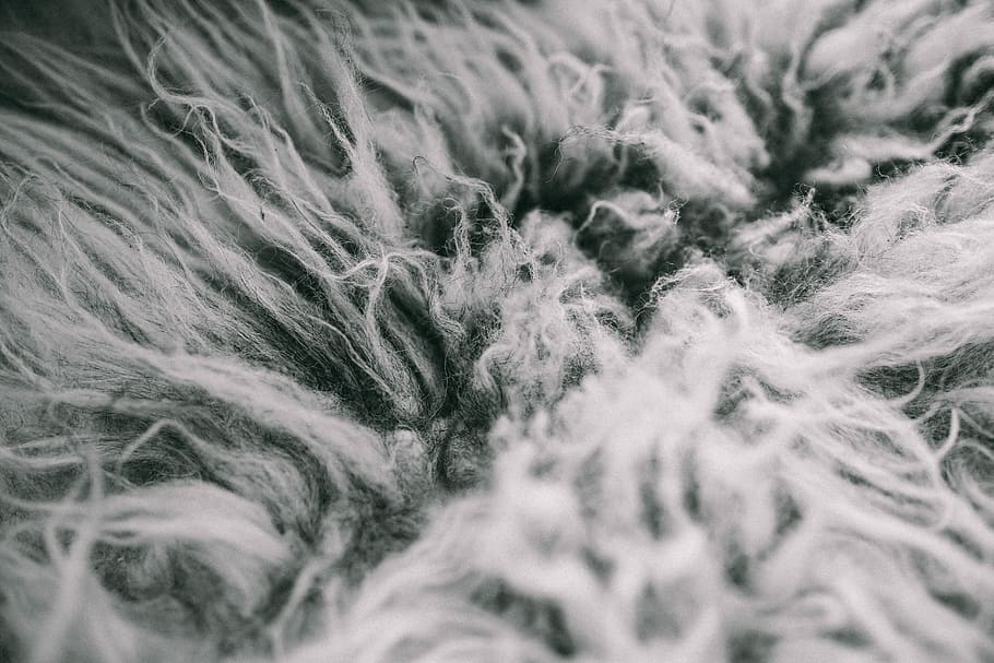 Scandinavian pillows, closeup, decor, decorations, nordic, home decor HD wallpaper