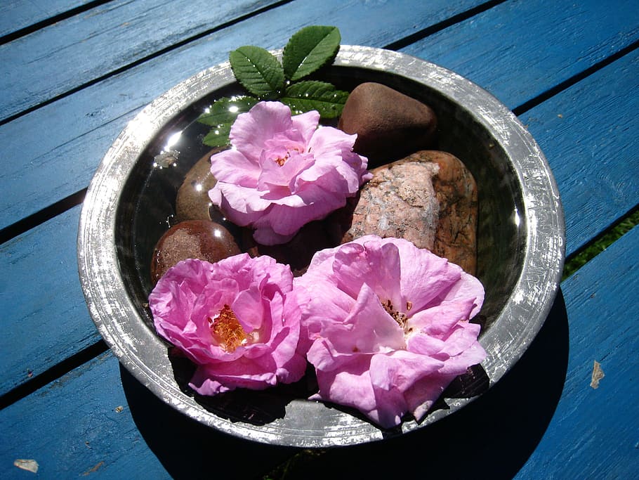 Flowers, Bowl, Arrangement, Water, summer, table, leaf, colors, HD wallpaper