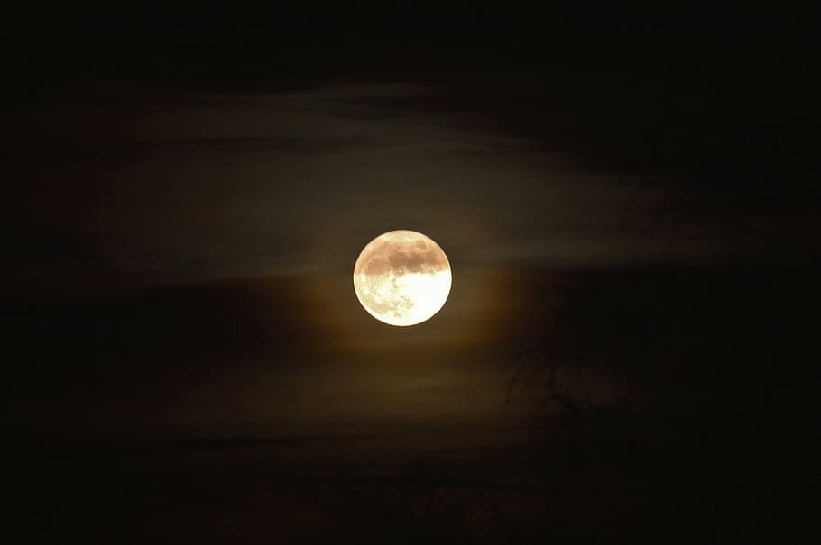 the moon, moonlight, atmosphere, mystical, mood, gloomy, night HD wallpaper