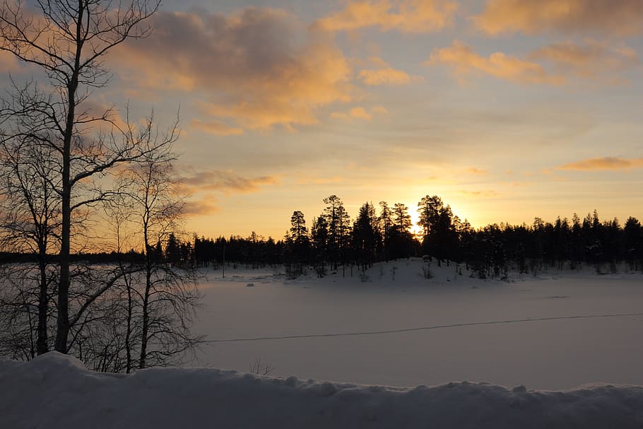 dawn, tree, nature, winter, panorama, sunset, landscape, snow HD wallpaper