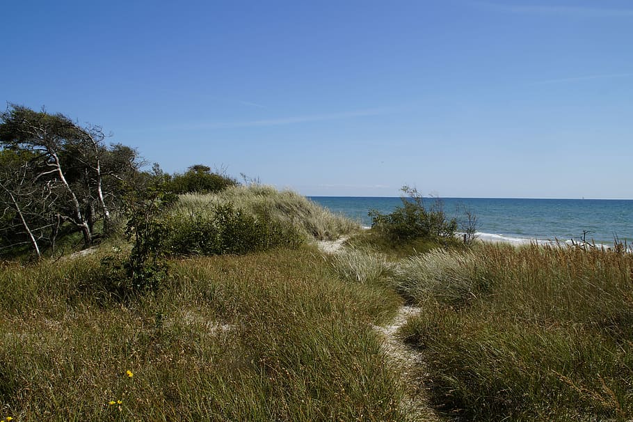 Dune, Landscape, Grasses, Sea, dune landscape, ocean, baltic sea HD wallpaper