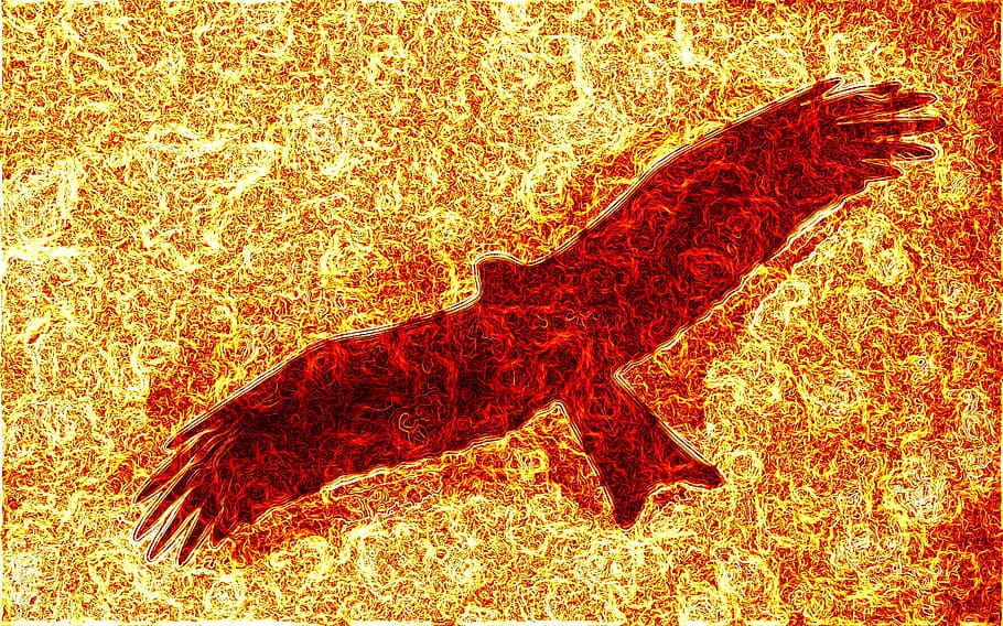 kite flying, lava, fire, wings spread, high angle view, no people HD wallpaper